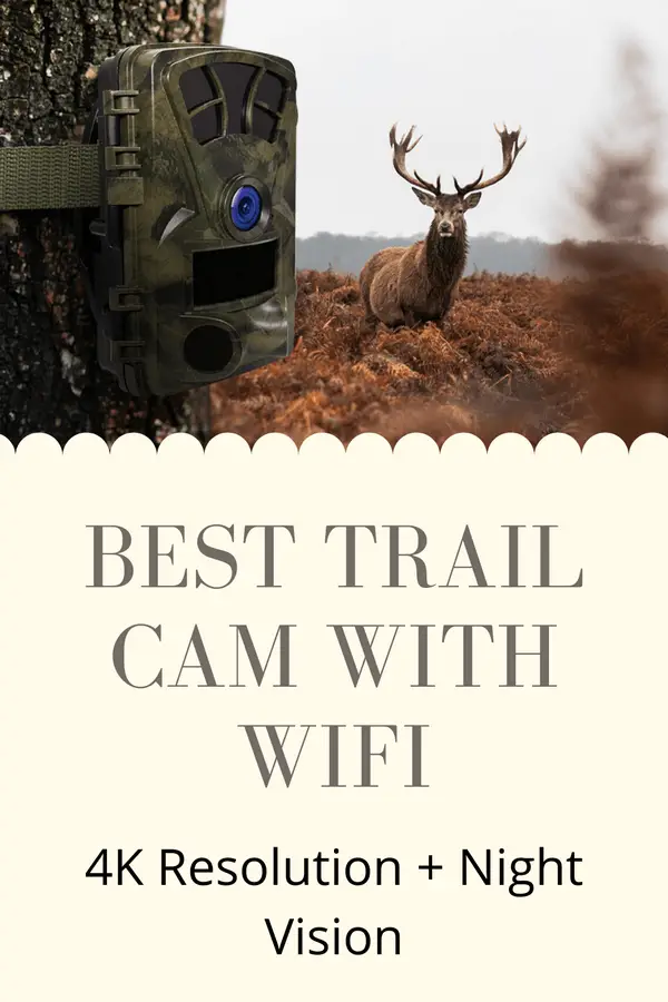 trail camera that connects to phone