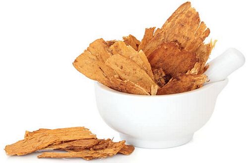 astragalus root