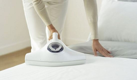 best vacuum cleaner for bed bugs