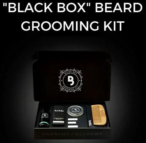 best beard grooming kit