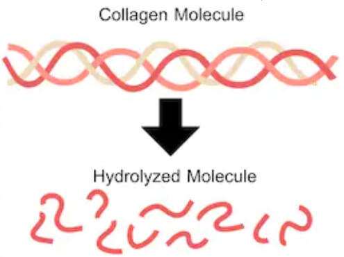 hydrolyzed collagen