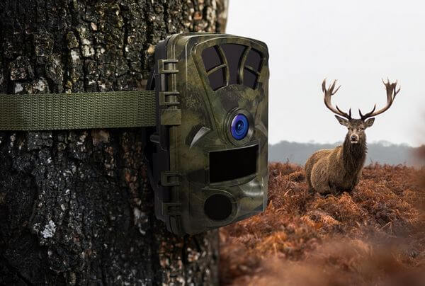 trail cam with night vision