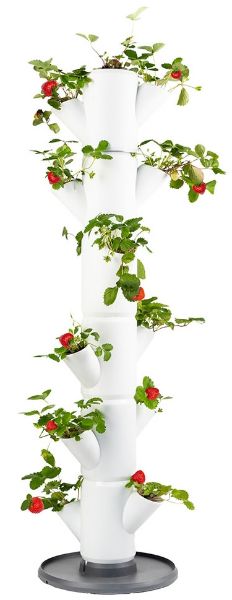 strawberry growing tower