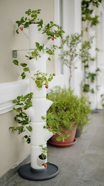 vertical strawberry tower