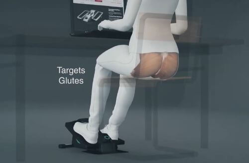 glutes