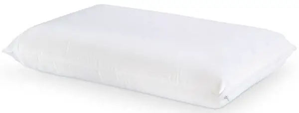 Memory Foam water pillow