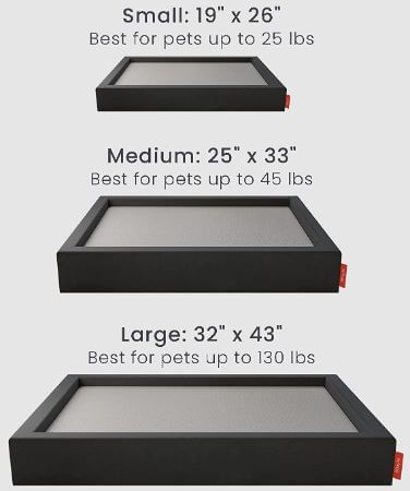 dog bed sizes