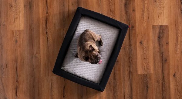 dog bed with removable zipper cover
