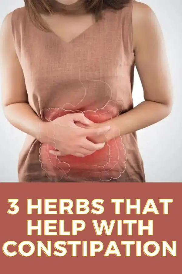 herbs-for-constipation