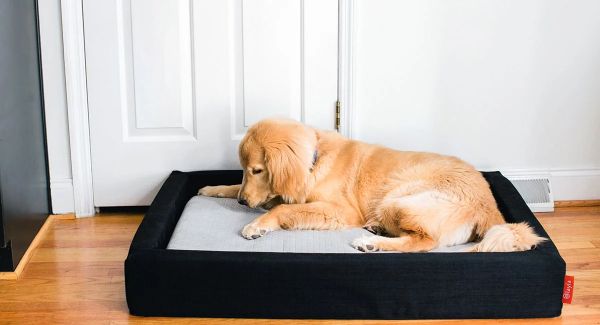Mini Mattress For Dog – High Quality Dog Bed With Sides