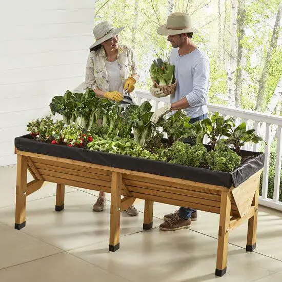 elevated vegetable garden