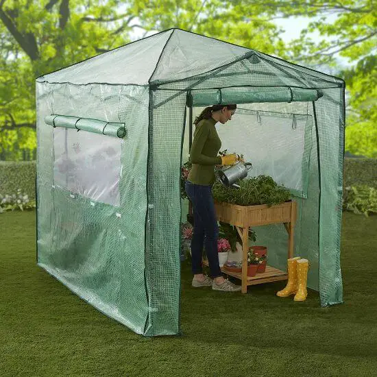 instant pop up greenhouse