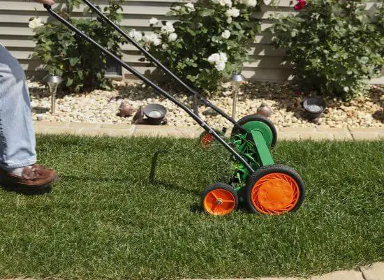 best manual push lawn mower