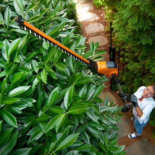 long reach hedge trimmer