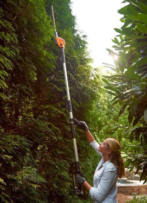 telescoping hedge trimmer