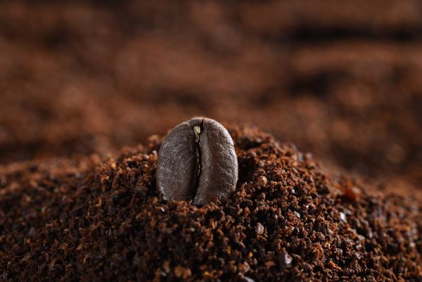 why-is-kona-coffee-so-expensive