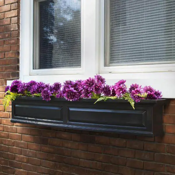 Flower Window Boxes Full Sun