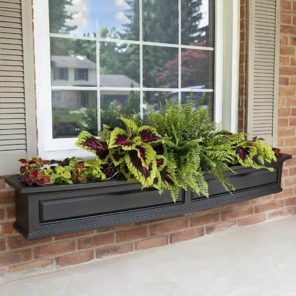 Window Boxes For Flowers