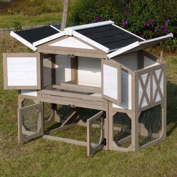 Chicken Coop For Beginners