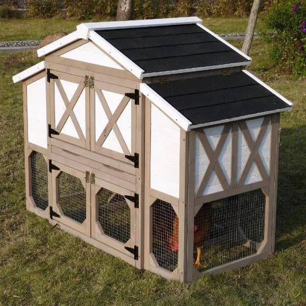 Chicken Coop For Small Backyard