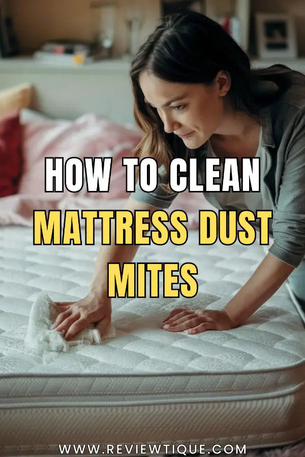 How to Clean Mattress Dust Mites