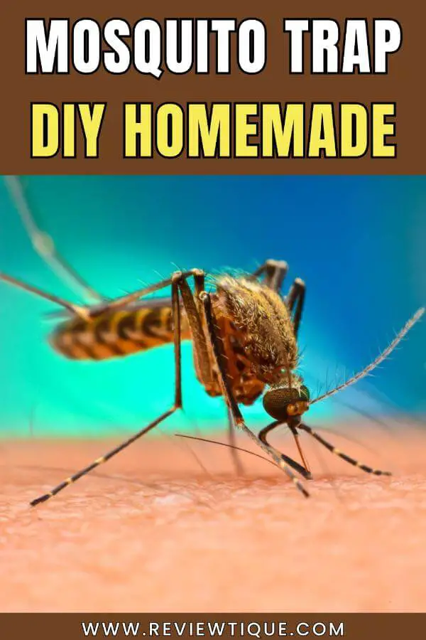 Mosquito Trap DIY Homemade