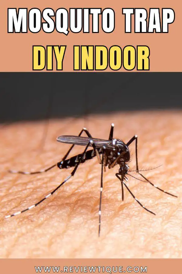 Mosquito Trap DIY Indoor