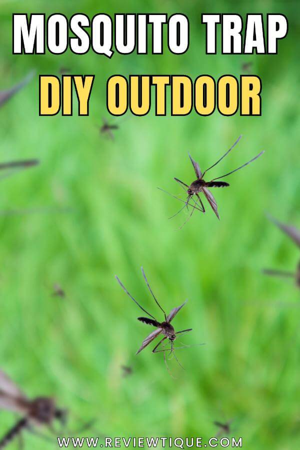 Mosquito Trap DIY Outdoor