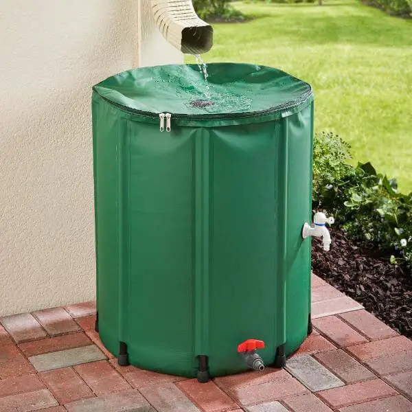 50 Gallon Rain Barrel to Water Garden