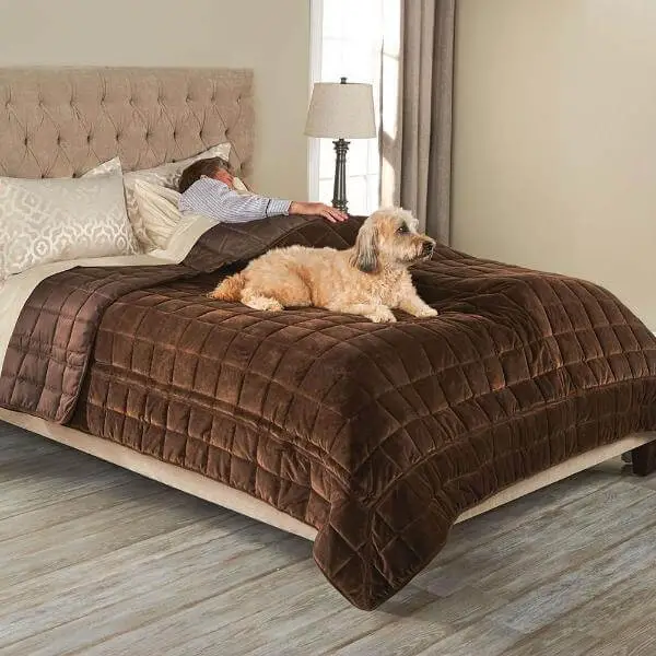 Dog Cover For Bed Protector