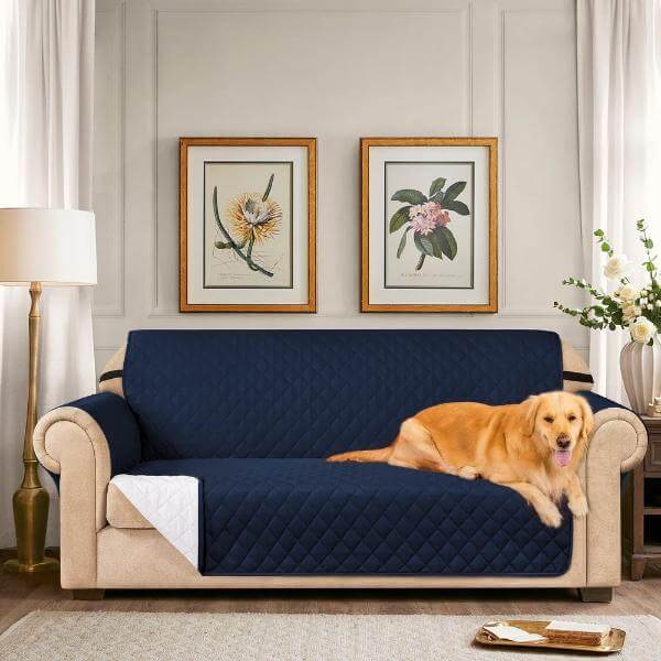 Dog Cover For Couch
