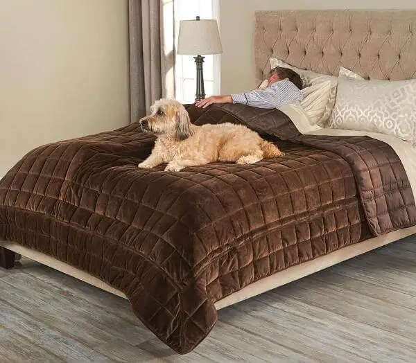 Pet Cover For Bed