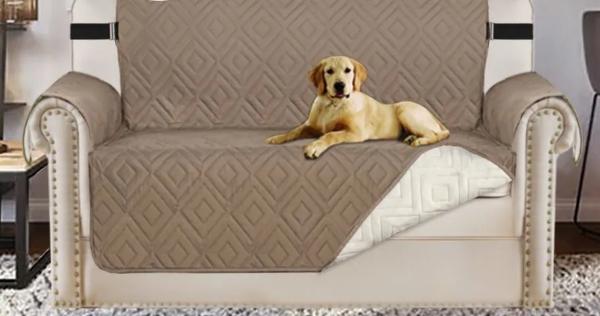 Sofa Cover For Pets
