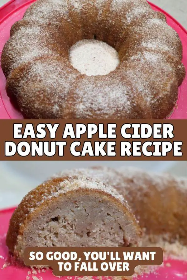 Easy Apple Cider Donut Cake Recipe