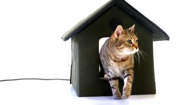 Heated Cat Shelter Winter