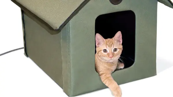 Heated Cat Shelter