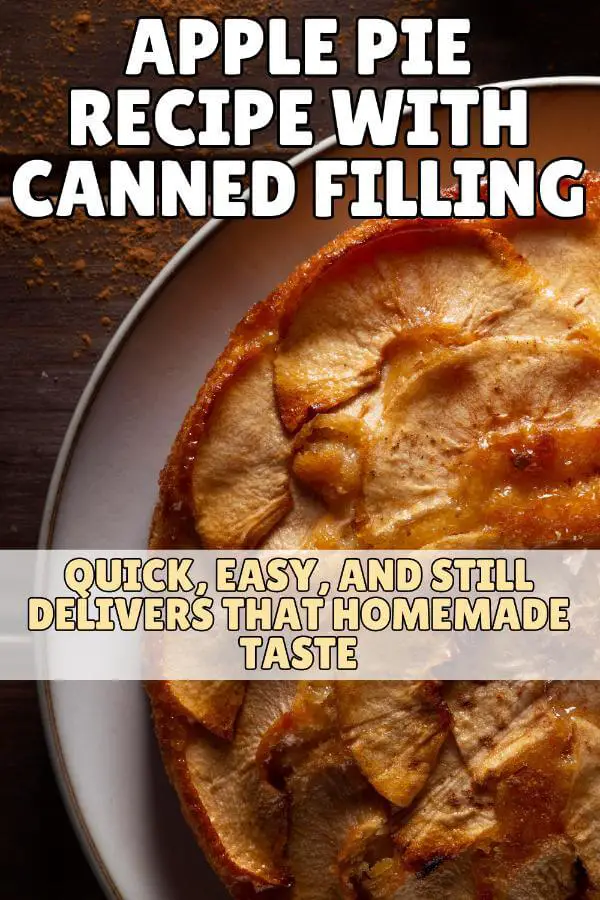 Apple Pie Recipe With Canned Filling