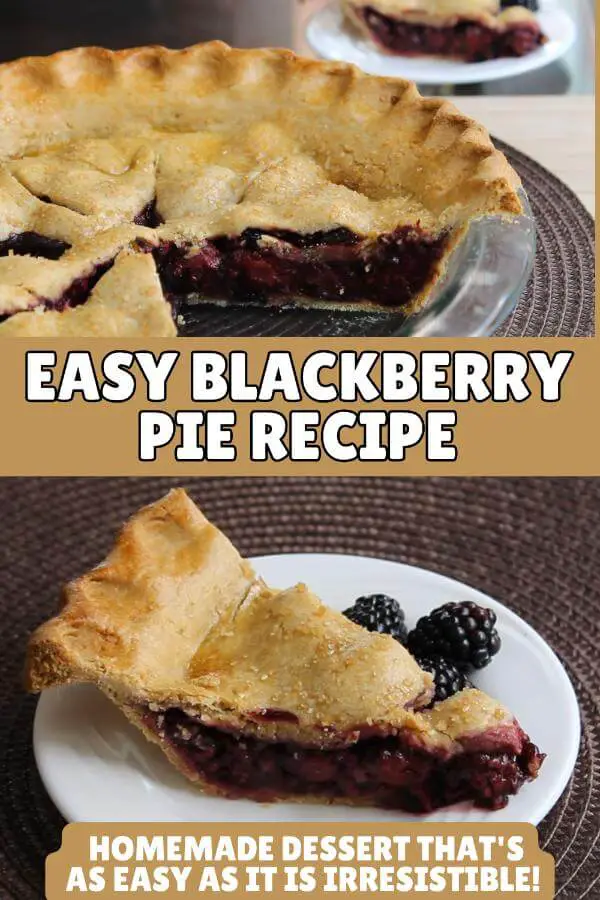 Easy Blackberry Pie Recipe From Scratch