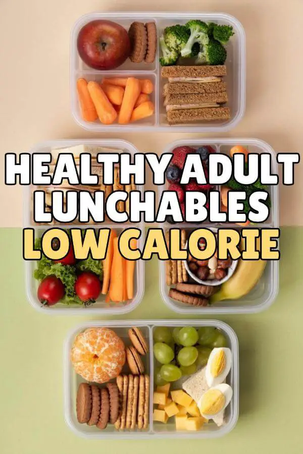 Healthy Adult Lunchables Low Calorie