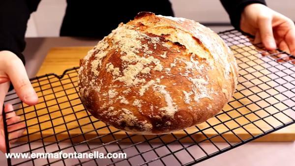Easy No Knead Italian Bread Recipe, 3-Ingredient Rustic Artisan Bread