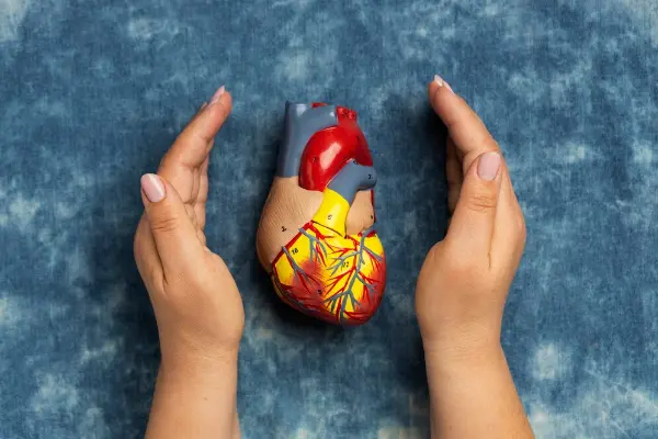 heart-hands