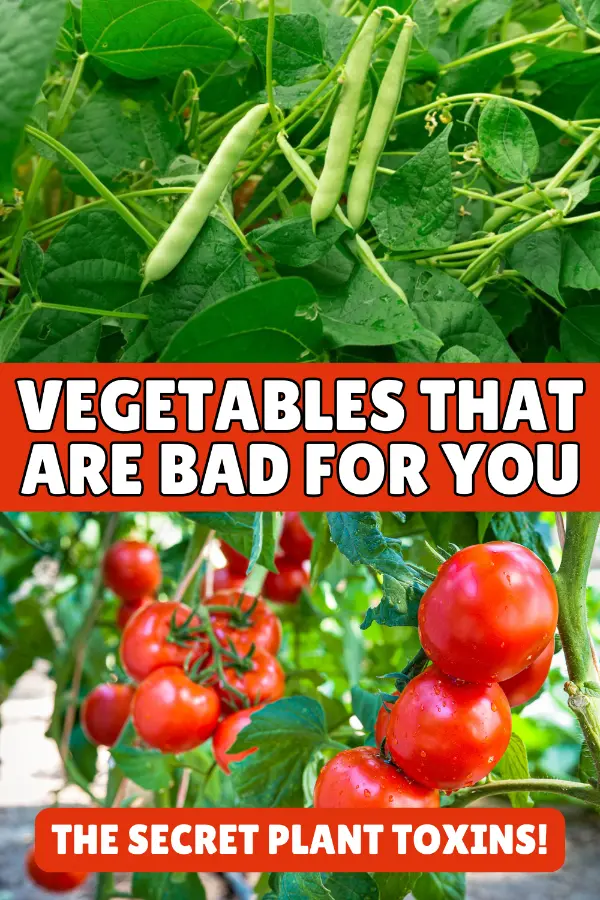 Vegetables That Are Bad For You
