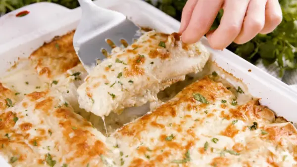 Chicken Enchiladas