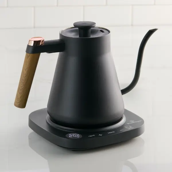 Electric Tea Kettle