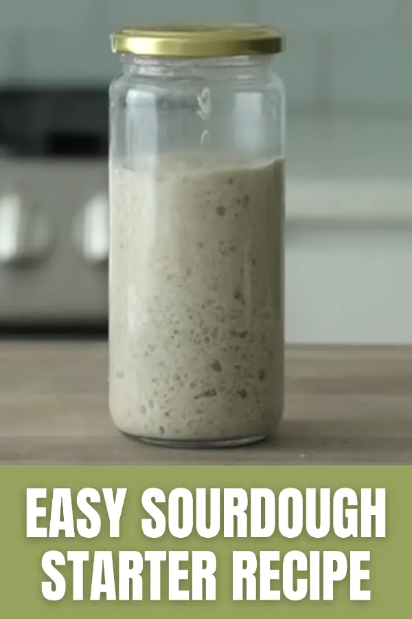 Easy Sourdough Starter Recipe For Beginners