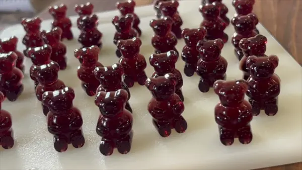 Healthy Gummy Bears Recipe With Gelatin