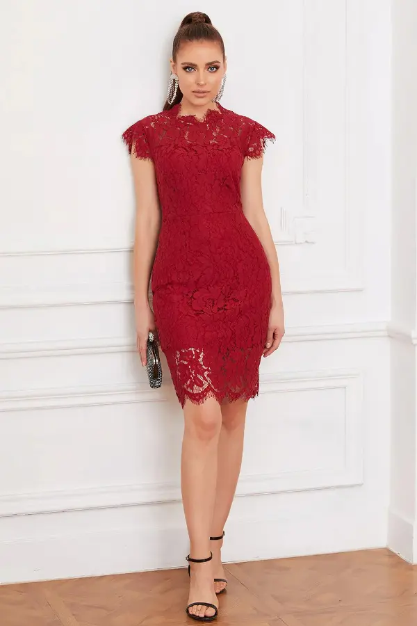Bodycon Lace Dress
